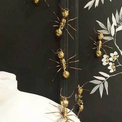 Galapagos Brass Ant