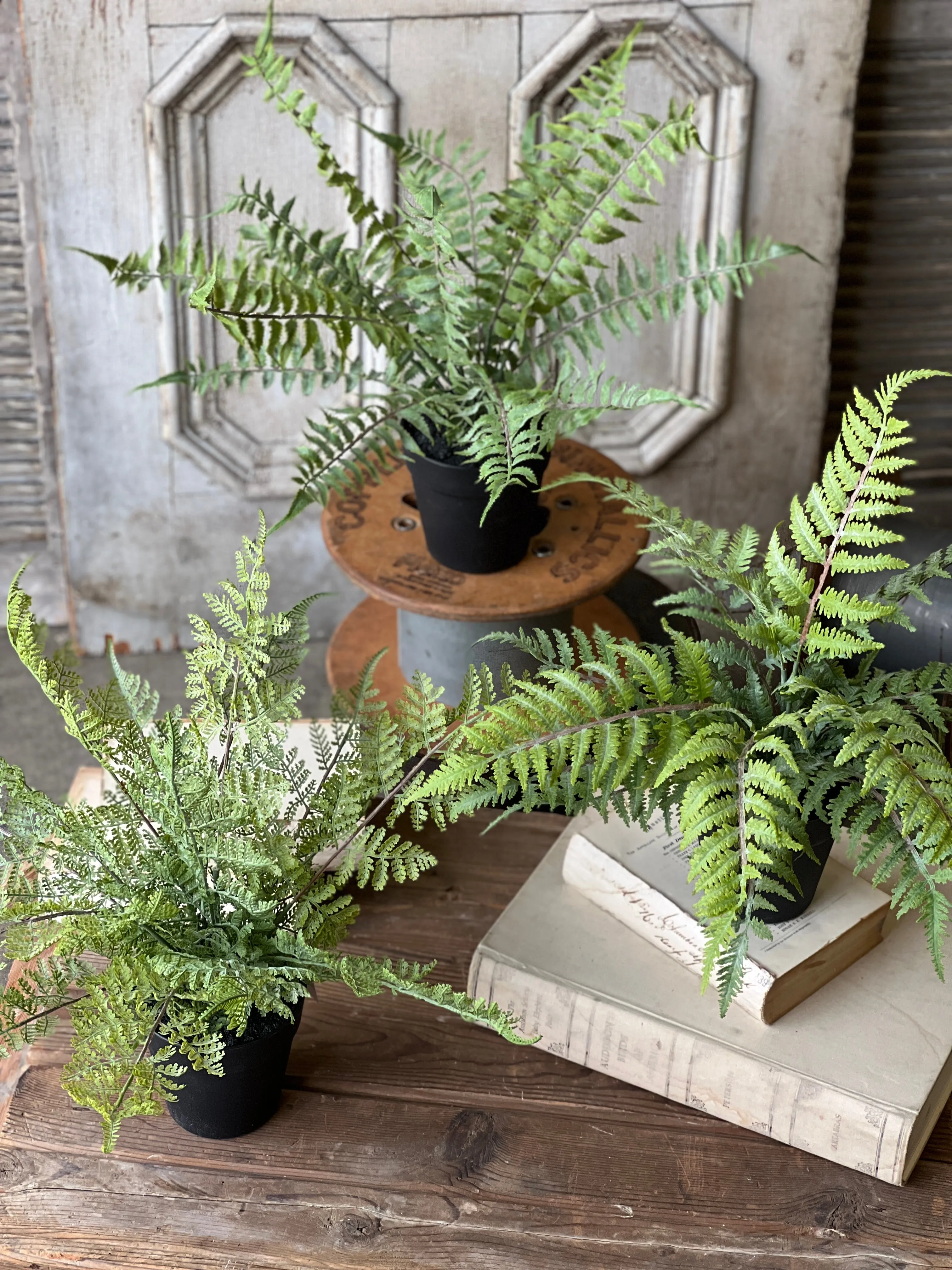 Geneva Potted Fern | 19" | Lace Edge | NOT CURRENTLY IN STOCK-New For Spring 2025!