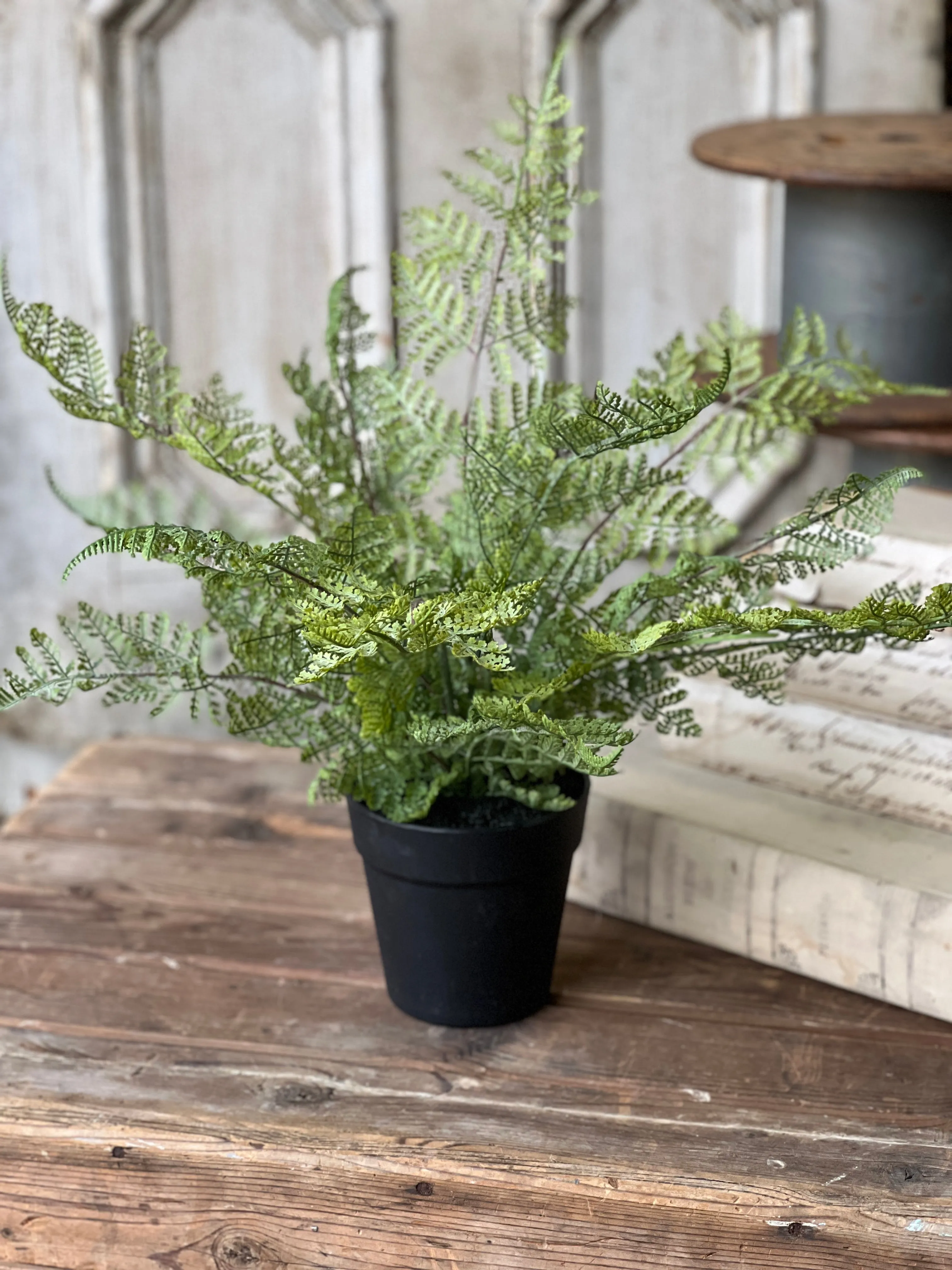 Geneva Potted Fern | 19" | Lace Edge | NOT CURRENTLY IN STOCK-New For Spring 2025!