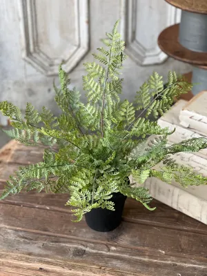 Geneva Potted Fern | 19" | Lace Edge | NOT CURRENTLY IN STOCK-New For Spring 2025!