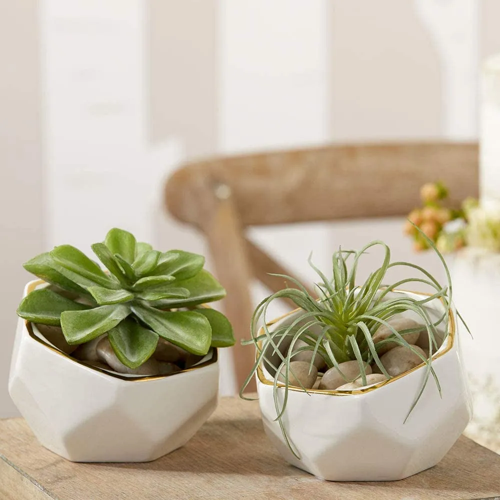 GeoChic White Ceramic Planter Duo (Set of 2)