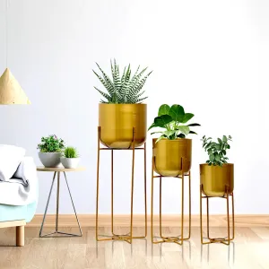Golden Luxe Planters - (Set of 3)