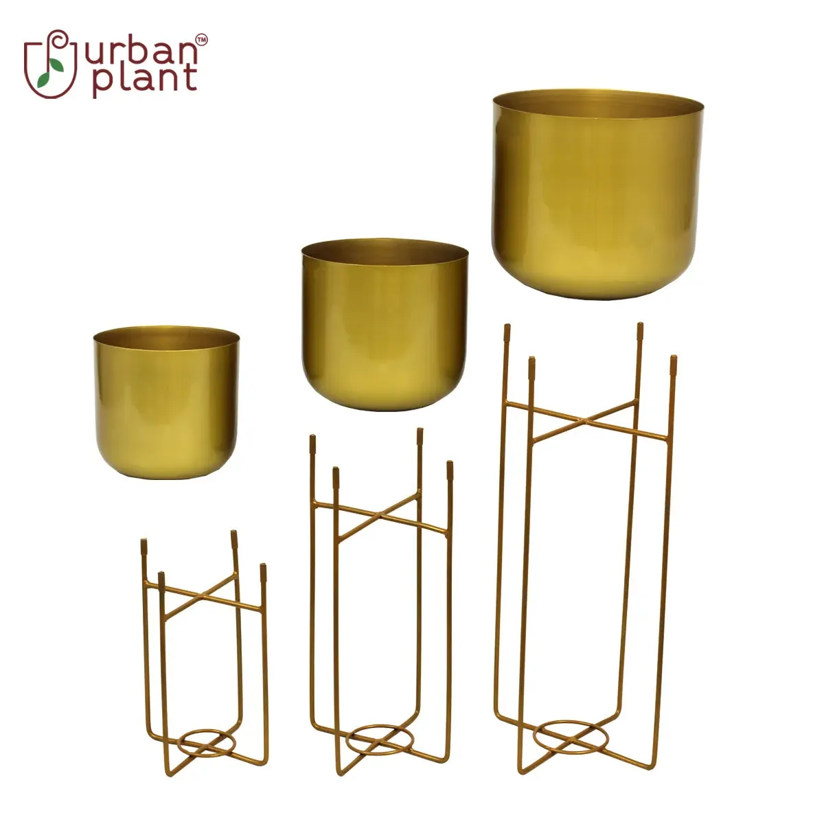 Golden Luxe Planters - (Set of 3)
