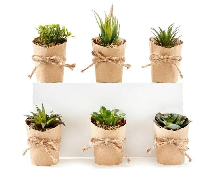 Greenery in Burlap