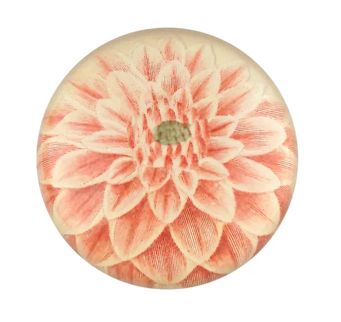 John Derian Decoupaged Domed Glass Paperweight