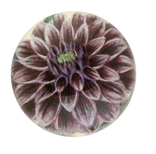 John Derian Decoupaged Domed Glass Paperweight