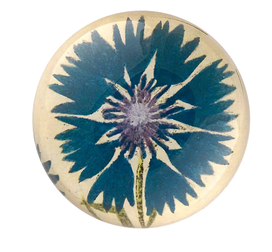 John Derian Decoupaged Domed Glass Paperweight