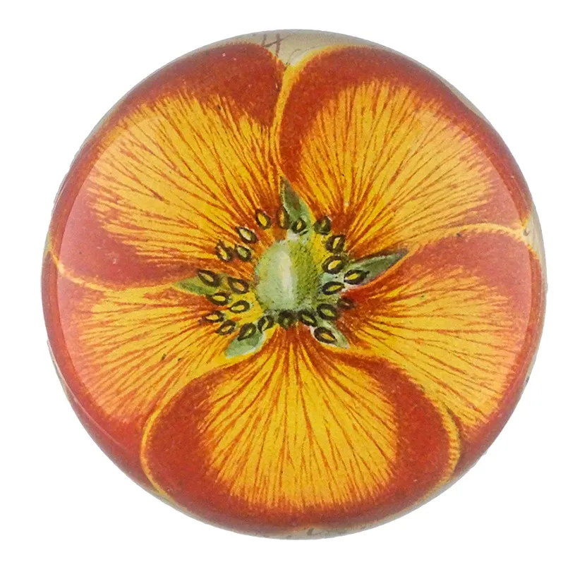 John Derian Decoupaged Domed Glass Paperweight