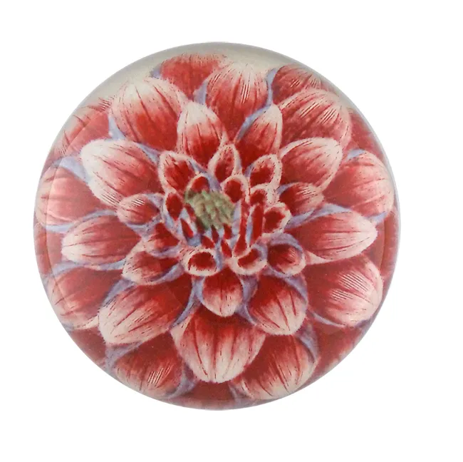 John Derian Decoupaged Domed Glass Paperweight