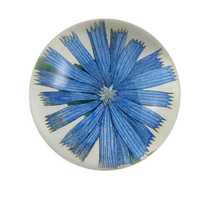 John Derian Decoupaged Domed Glass Paperweight