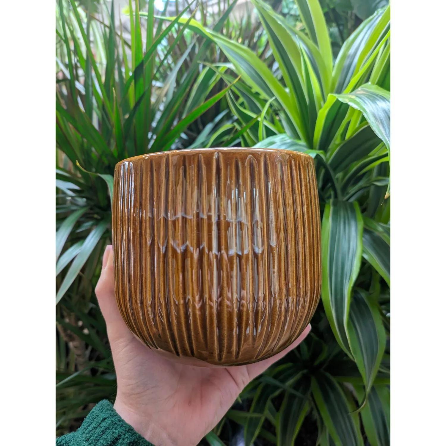 Mica Decorations 16cm Orche Pablo Round Ribble Pot