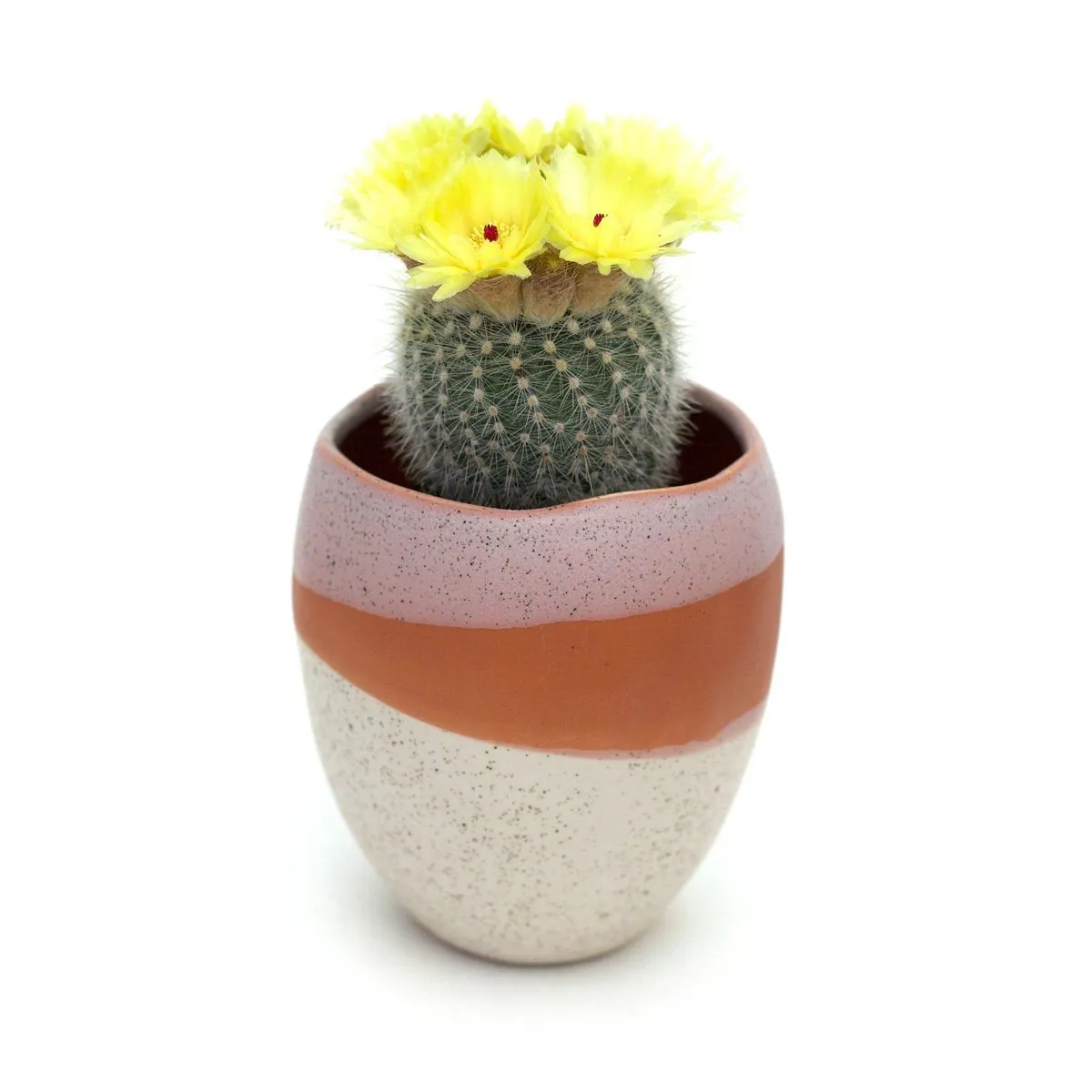 Parker Pot (Small)