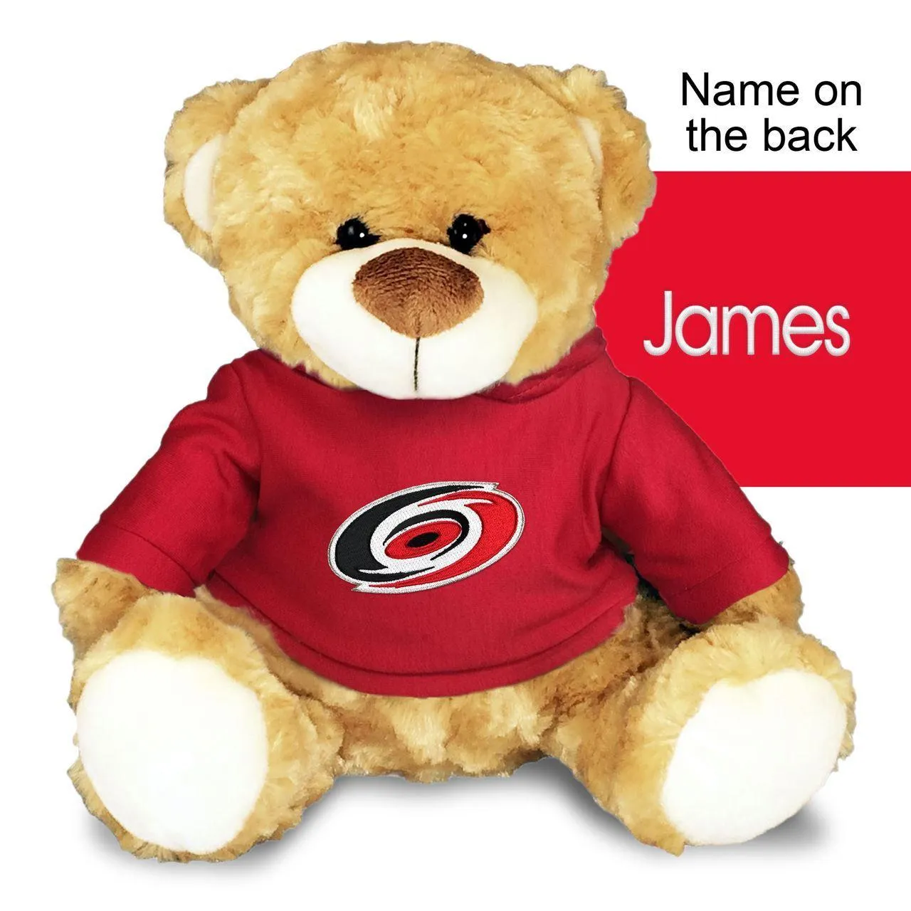 Personalized Carolina Hurricanes 10" Plush Bear