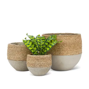 Planters - Half Seagrass