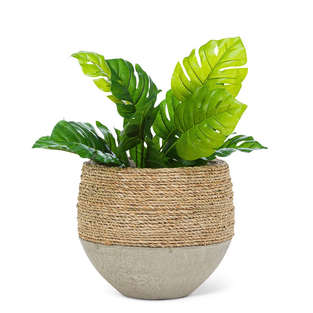 Planters - Half Seagrass