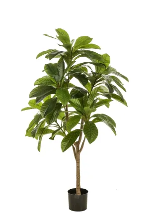 Potted Faux Tropical Trees (2) | Emerald Frangipani