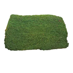 Preserved Moss Sheet
