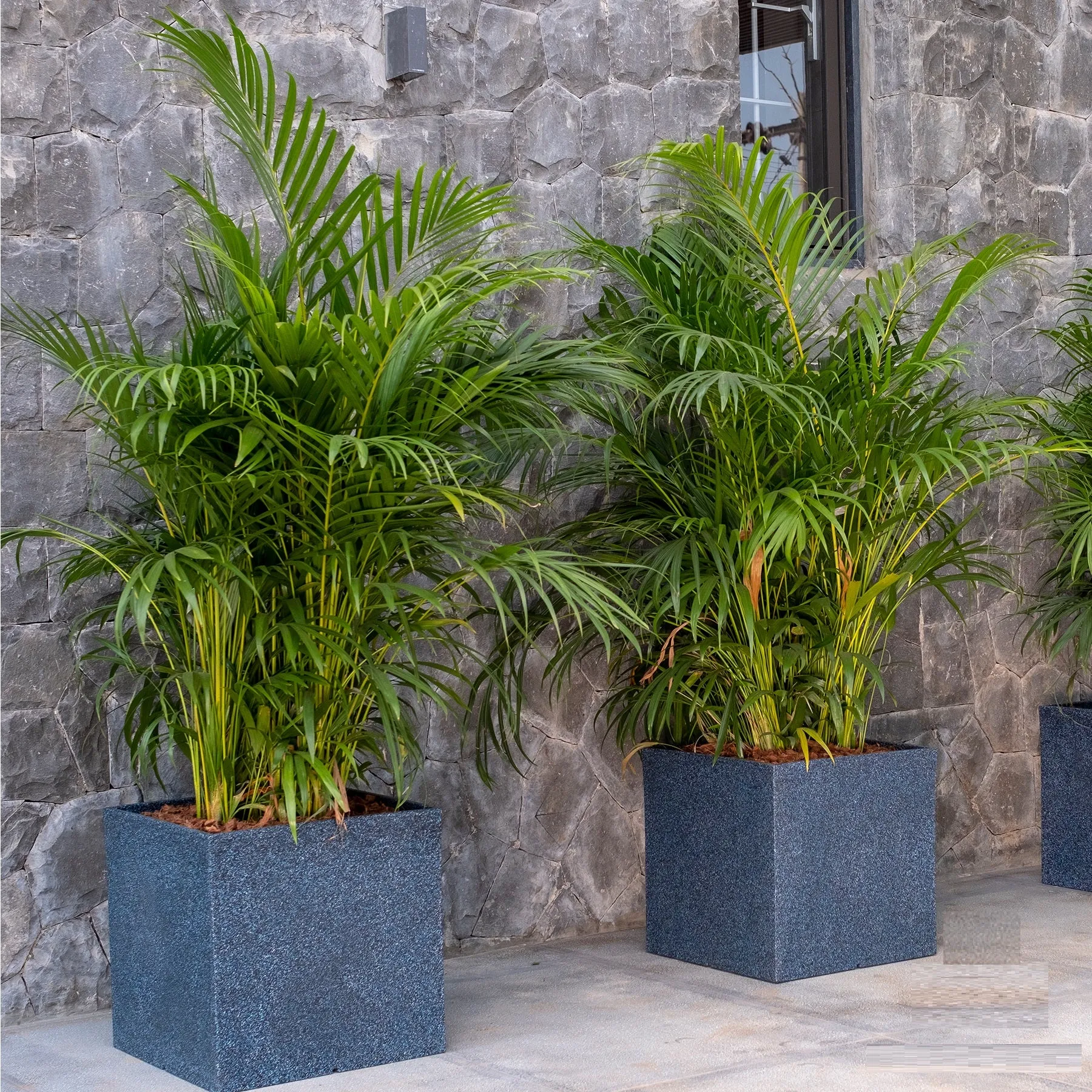 Quebec Square Planter For Indoor Or Outdoor By Harshdeep - Pack Of 3