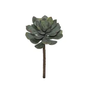 Rogue Lotus Echeveria Stem 15x15x23cm GreyGrn