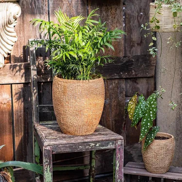 Seagrass Style Cement Planter