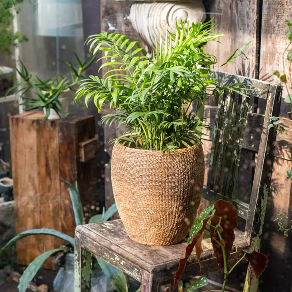 Seagrass Style Cement Planter