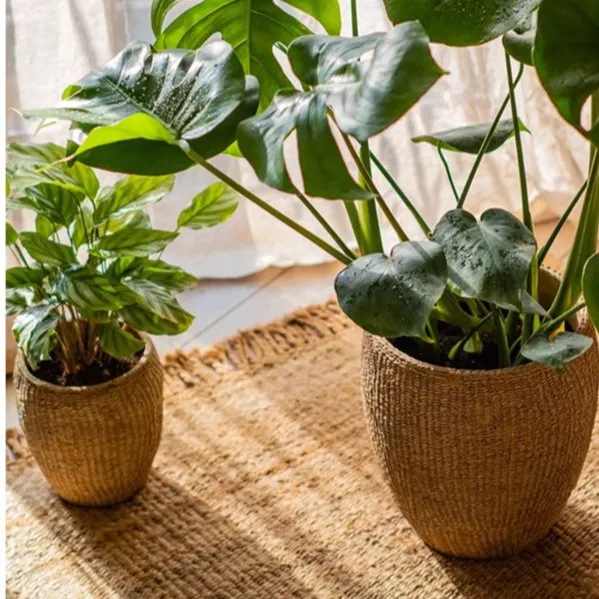 Seagrass Style Cement Planter