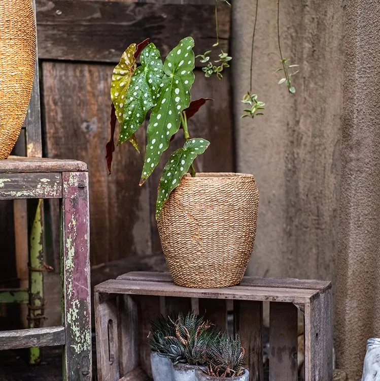 Seagrass Style Cement Planter