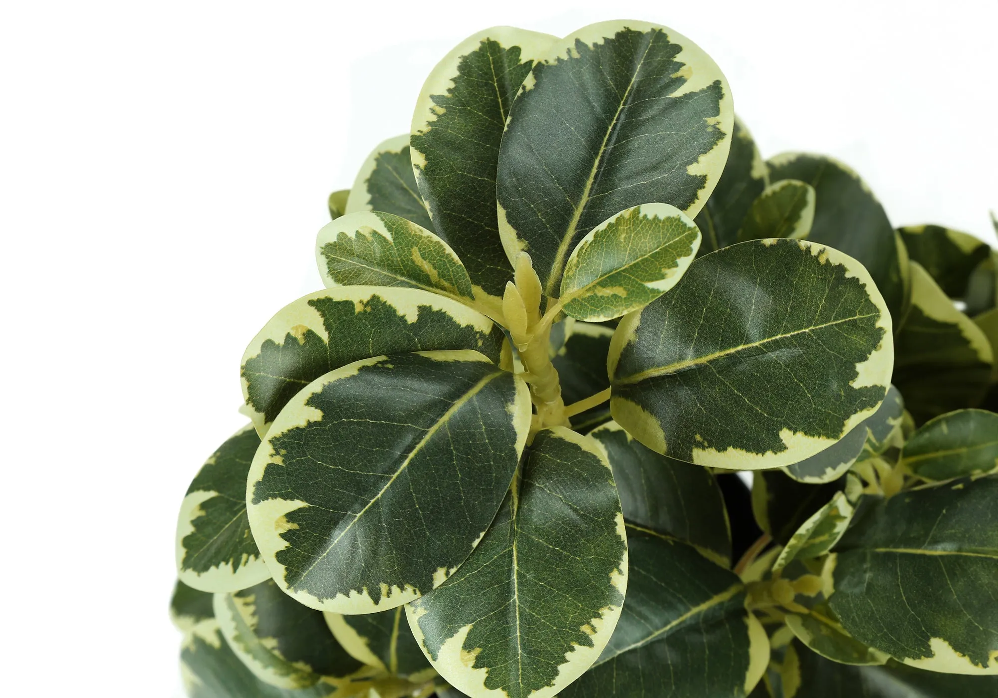 Set of 2 Faux Indoor Ficus Plants - 14" Tall, Green Leaves, Black Pots -  Decorative Table Greenery