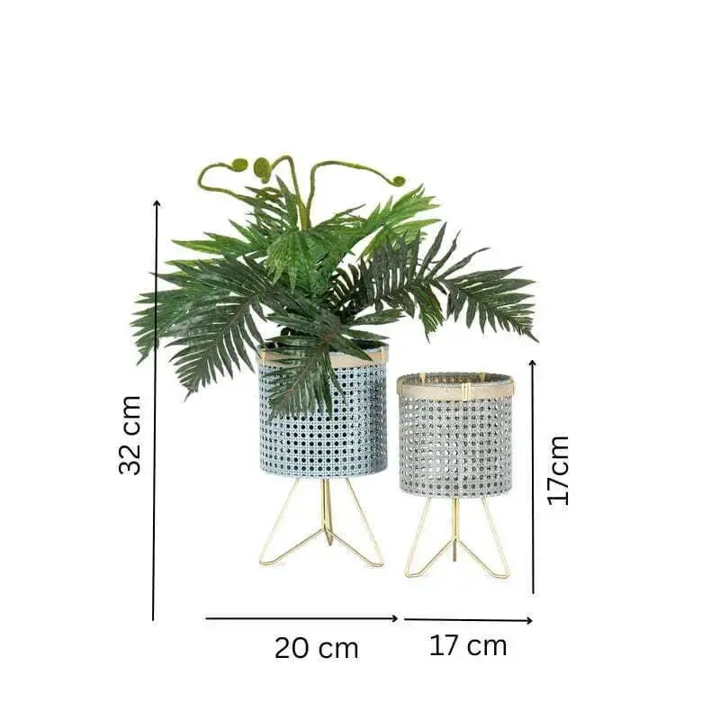 Set of 2 Rattan Footed Plant Stands