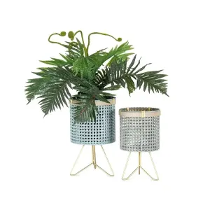 Set of 2 Rattan Footed Plant Stands