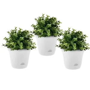 Set of 3 x 19.5 cm White Plastic Self Watering Planter for Indoor or Outdoor