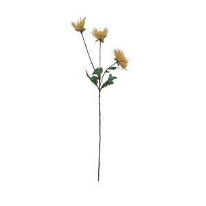 Spider Mum 3 Flowers - Yellow