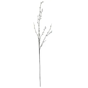 Spring Pussy Willow - Grey