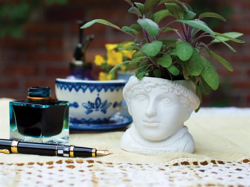 The Unemployed Philosophers Guild - Jane Austen Fertile Mind - Planter