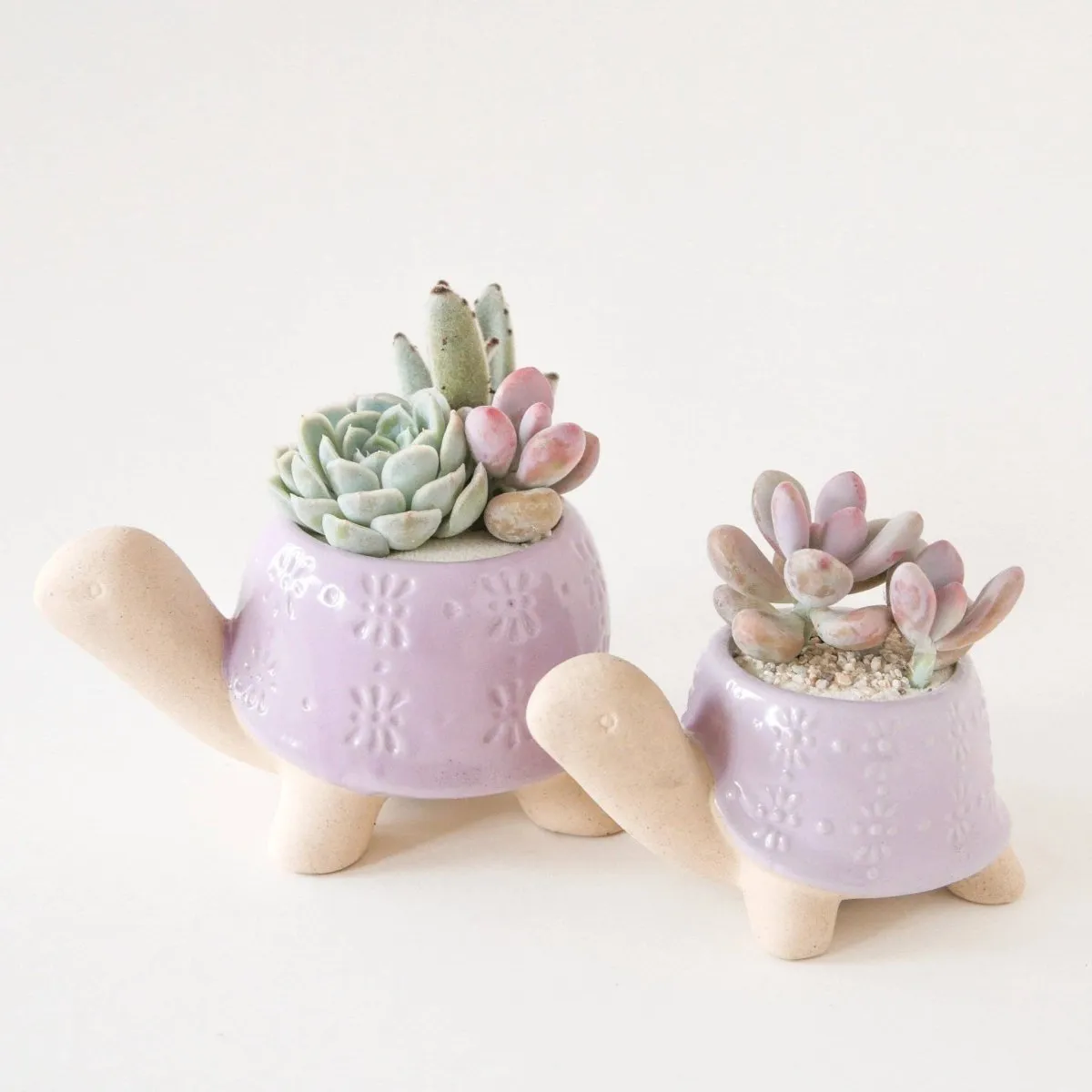 Turtle Ceramic Planter