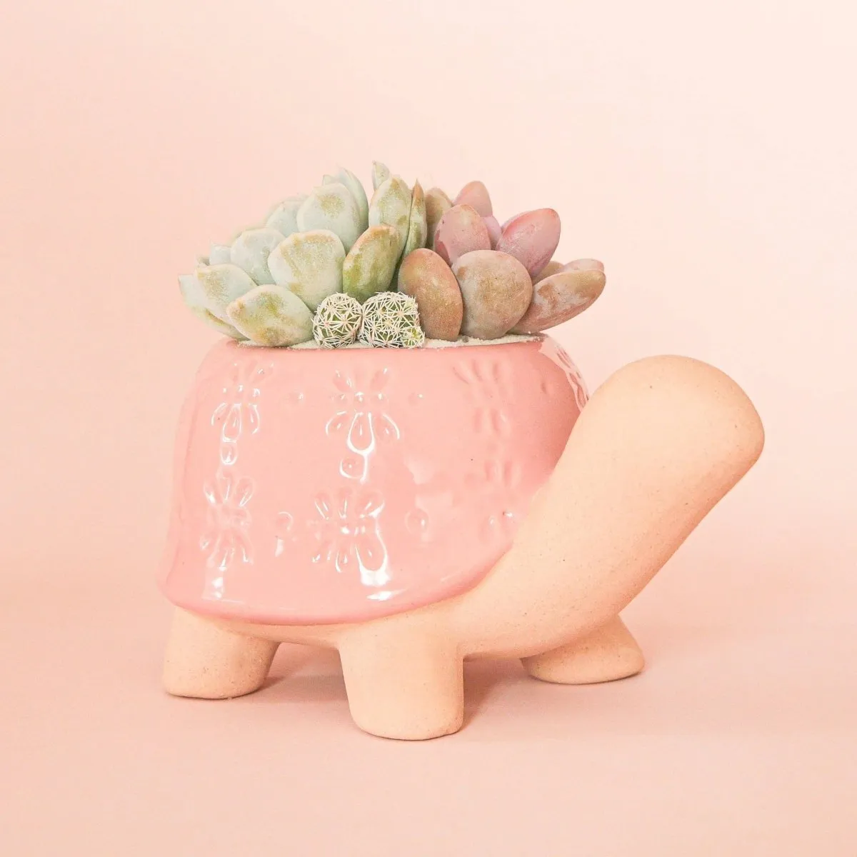 Turtle Ceramic Planter