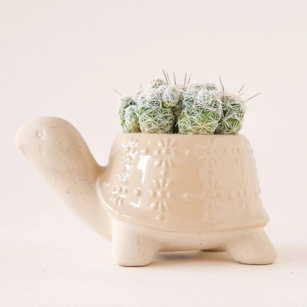 Turtle Ceramic Planter