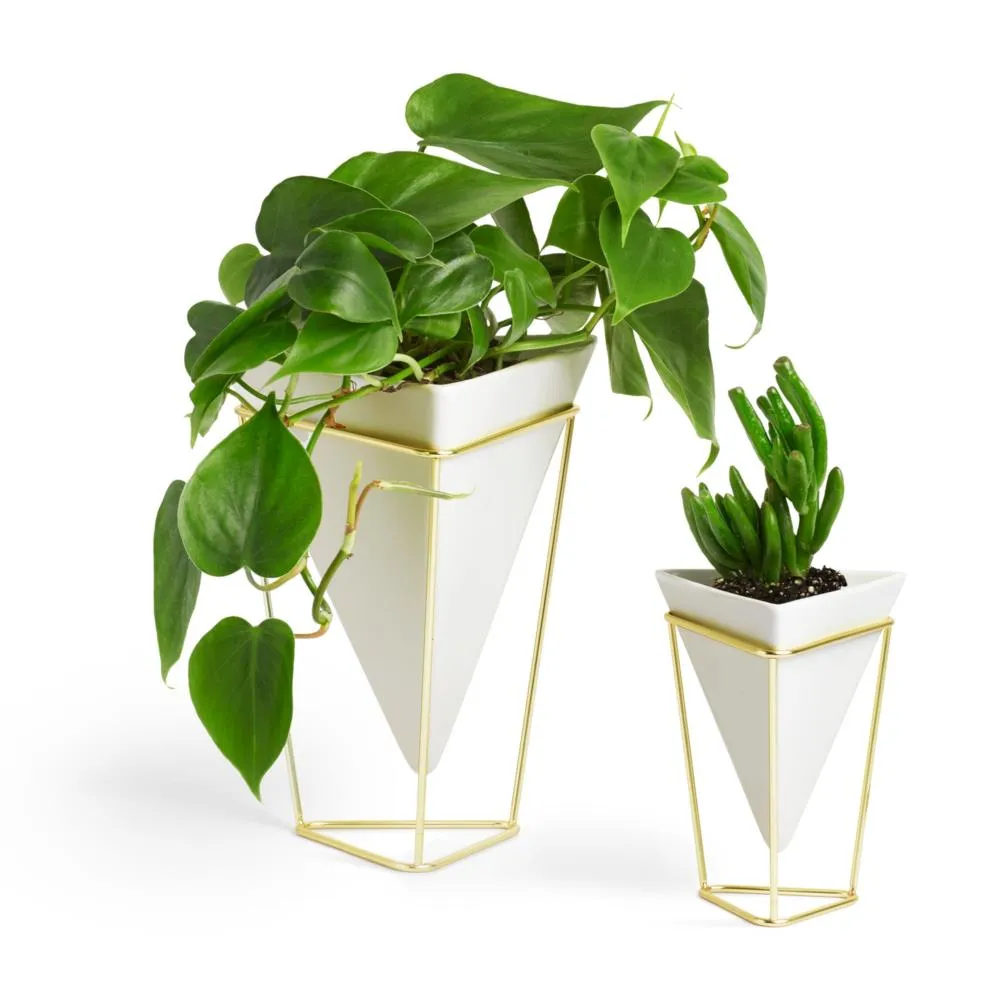Umbra Trigg Tabletop Vessels, Set of 2 (Ó)