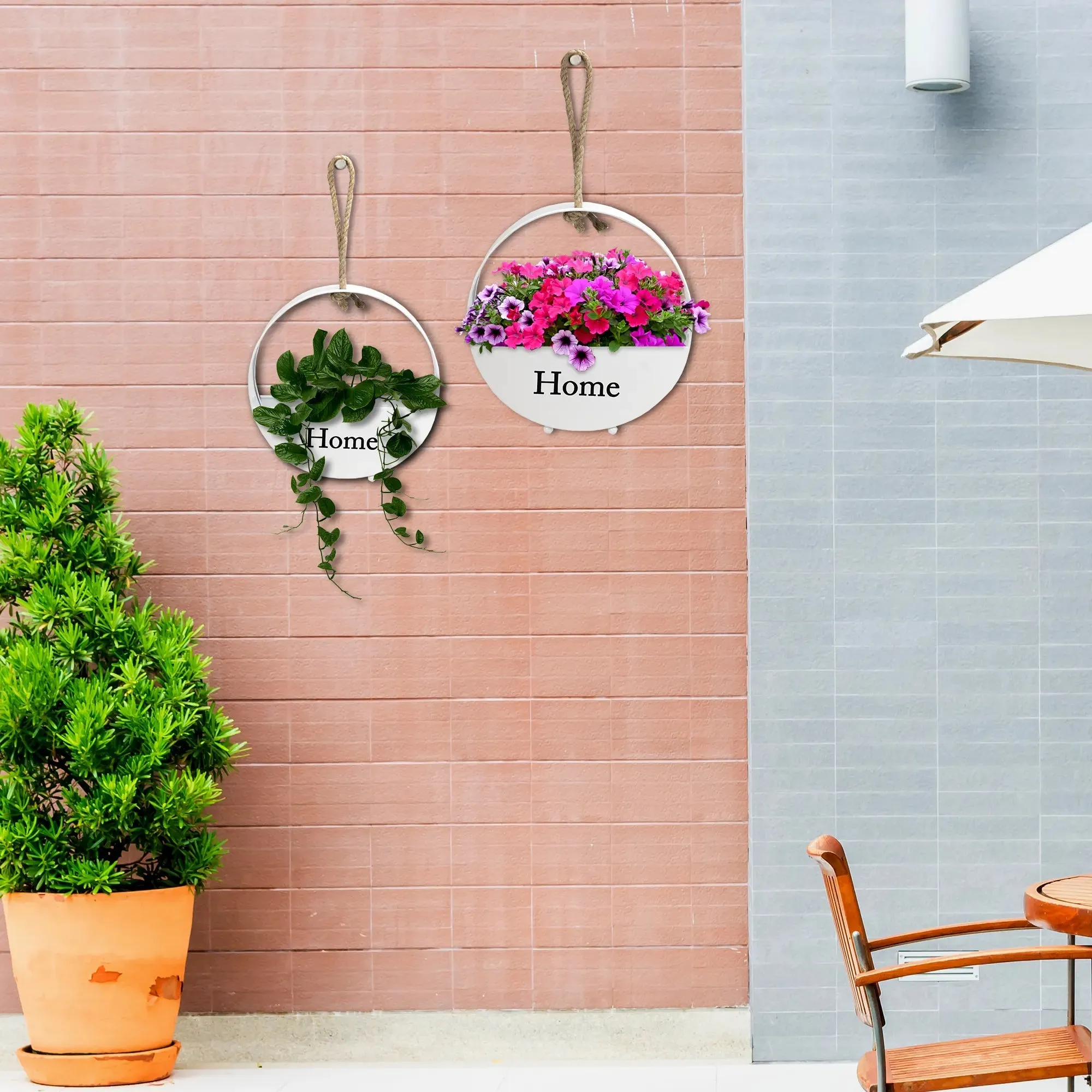 Urbannest Hanging Wall Planter - (Set of 2)