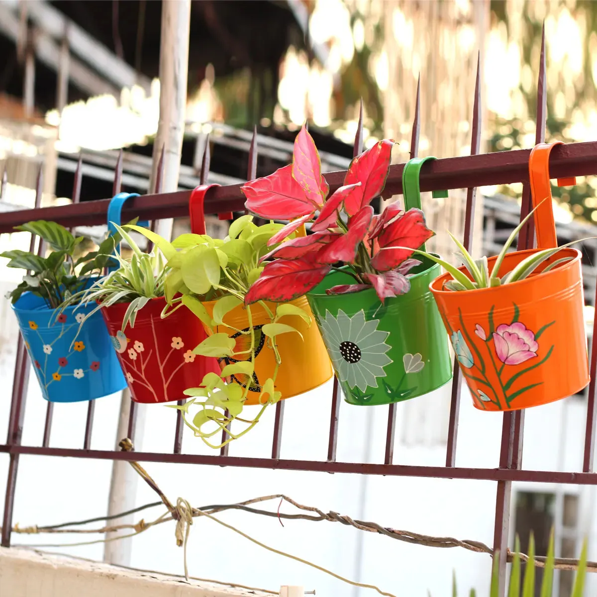 Vibrant Railing Hanging Planters - (Set of 5)