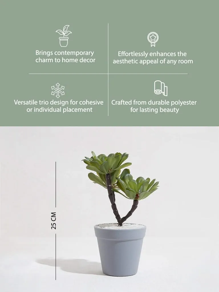 Westside Home Green Trio Artificial Succulent