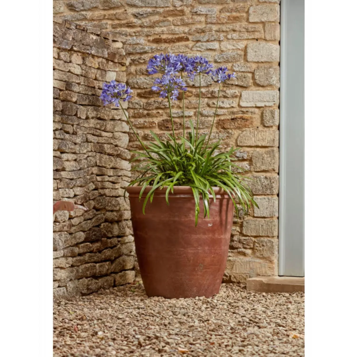 Woodlodge 63cm Brown Chao Plain Pot