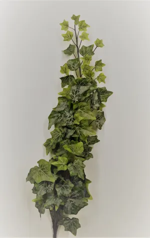XLarge Frosted Ivy Bush - Green